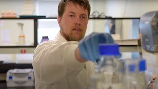 Mechanistic Analysis Of Pain  Dr Tamara Kings Research Lab At Une