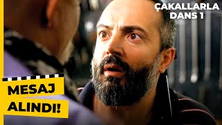 Del Piyero Hikmet Ve Dolandırılma Hikayesi Çakallarla Dans 1