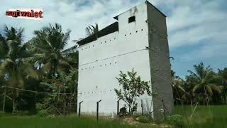 The swallow house can fail, if this is done, it's been 2 years and only 9 swallow nests, part I