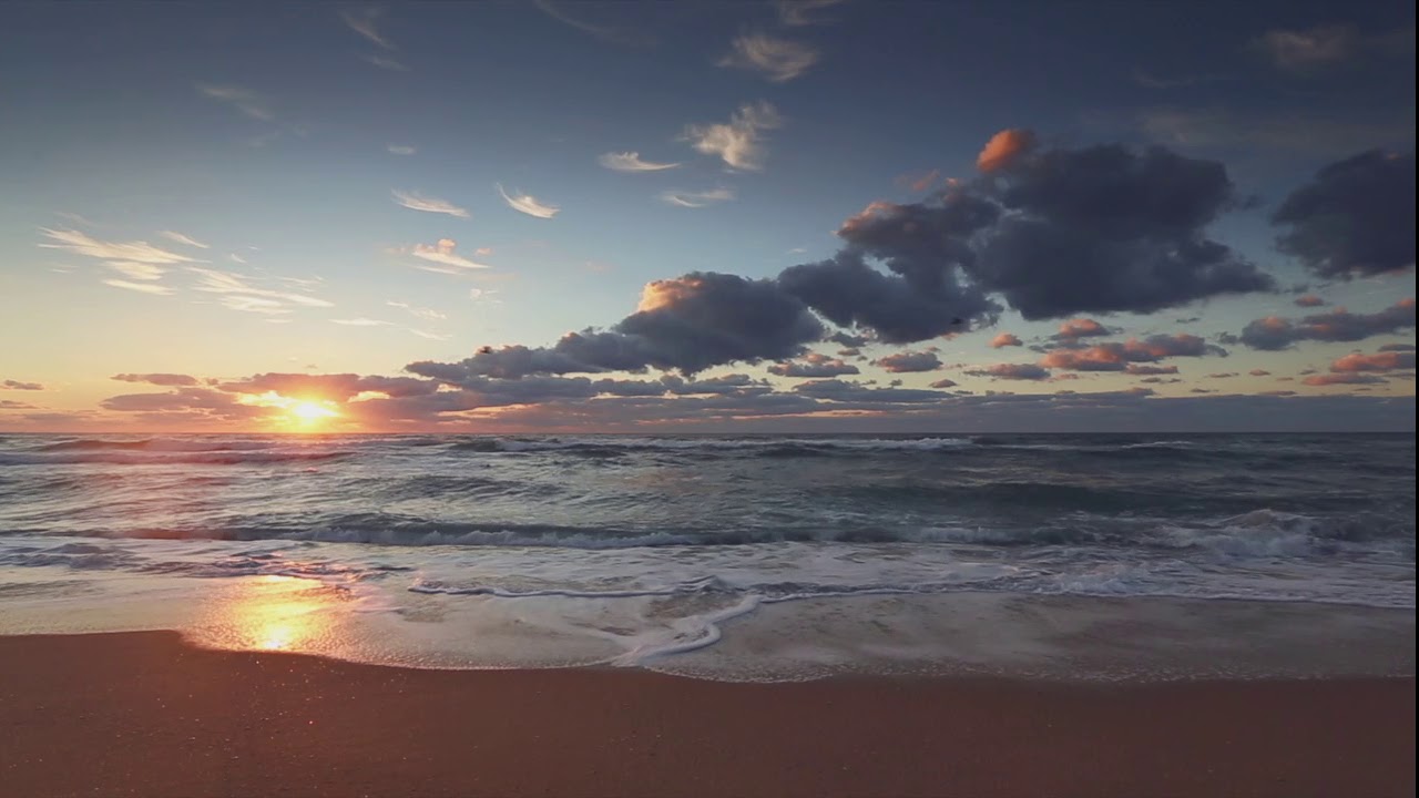 Watch BuzZzy - Ocean Waves on YouTube Watch BuzZzy - Ocean Waves on YouTube