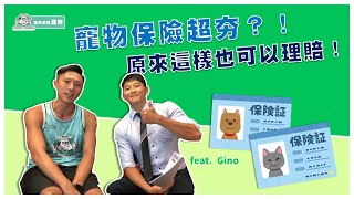 寵物保險超夯?!原來這樣也可以理賠! feat. Gino
