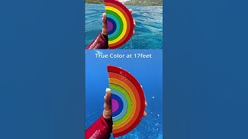 Underwater color test at 40ft/12m 🎨 DJI Osmo Action 5 Pro 🎬 @roamtobewild7801