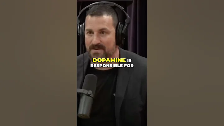 Andrew Huberman on Dopamine | JRE #1513