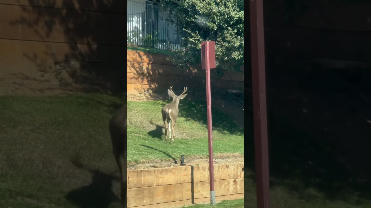 Away from the fires!! 🙏🏼 