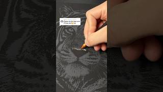 Tiger Scratch Art✍️🐅 link in bio! Wealth