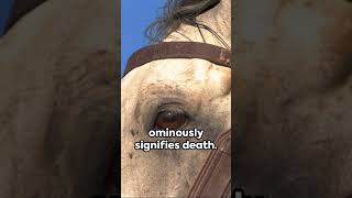 Unveiling the Seven Seals: A Revelation #motivation