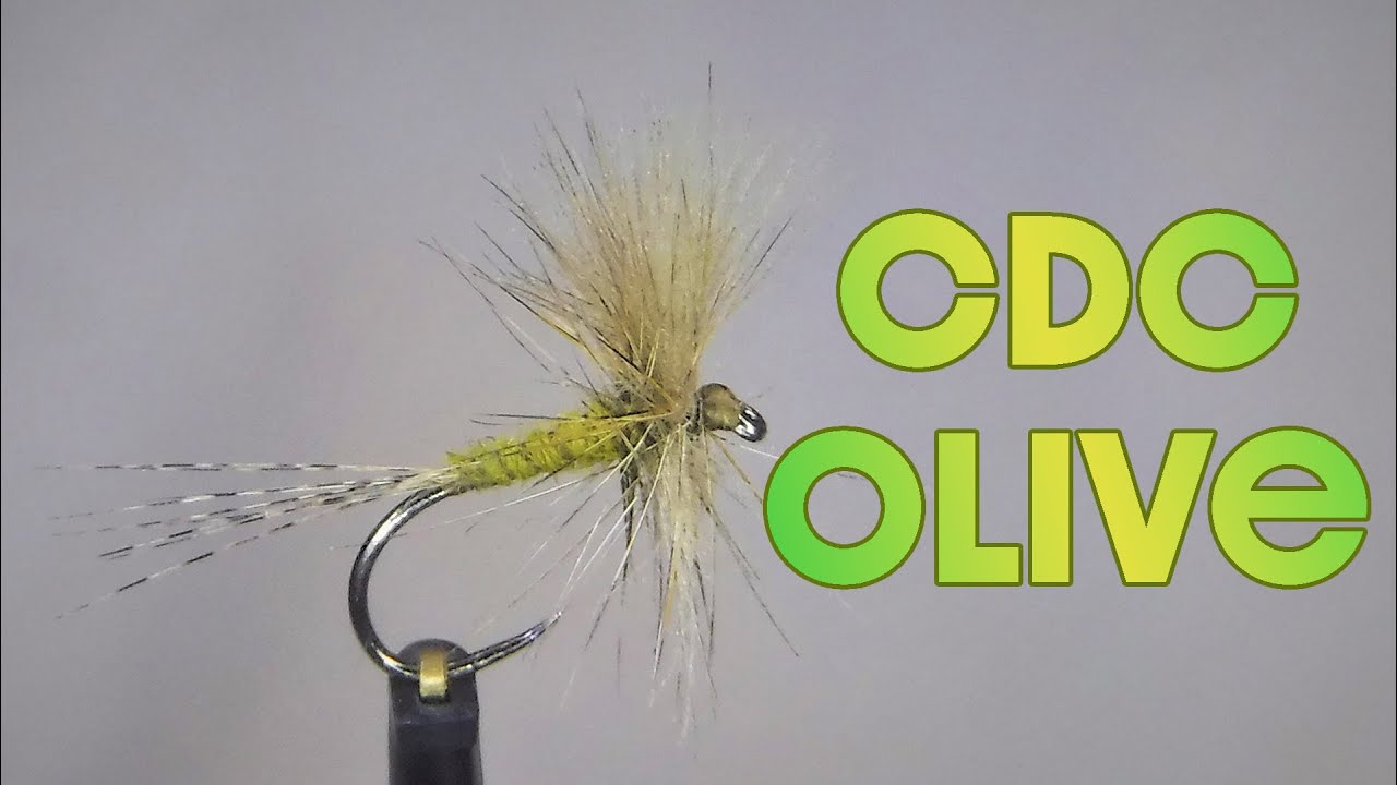 Flies for Trout Fishing | Dry Flies for Trout | Olive mayfly 