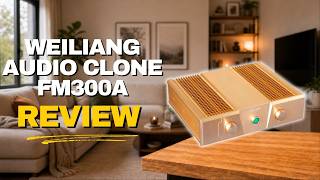 WEILIANG Audio Clone FM300A Hi-Fi Power Amplifier Review: Worth Buying?