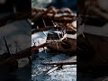 А ты принял Иисуса в свою жизнь ?