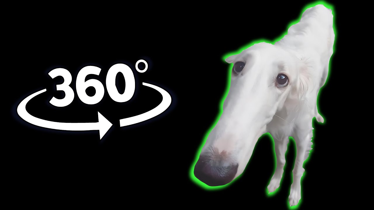 Позвольте мне сделать это для вас, но это видео на 360 градусов №2