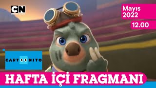 Yeni Dizi Moley Fragmanı Mayıs 2022 Cn