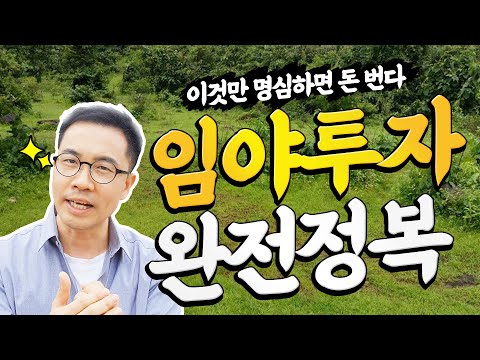 임야 투자 시 조심해야 할 5가지 (돈 버는 임야투자 방법)