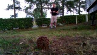 VIDEO0050.3gp