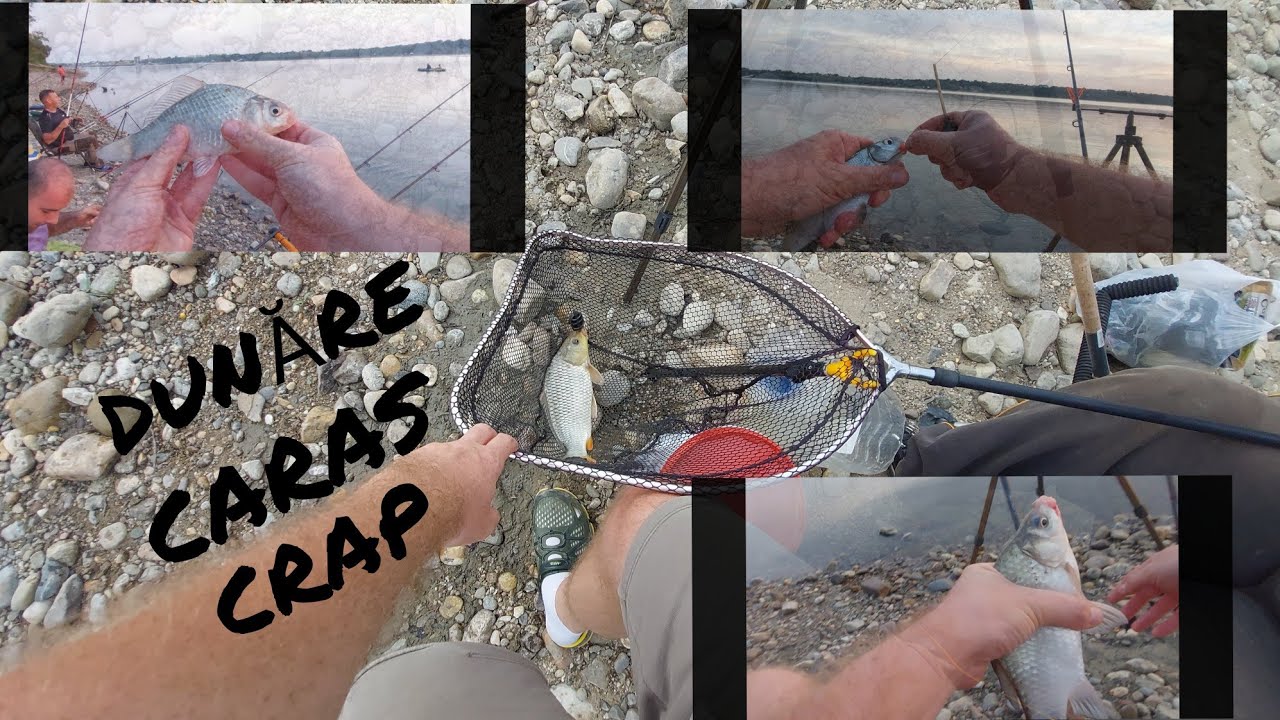 Cum sa dai in sfarsit de peste pe DUNĂRE am avut o idee care a schimbat soarta partidei . Caras Crap