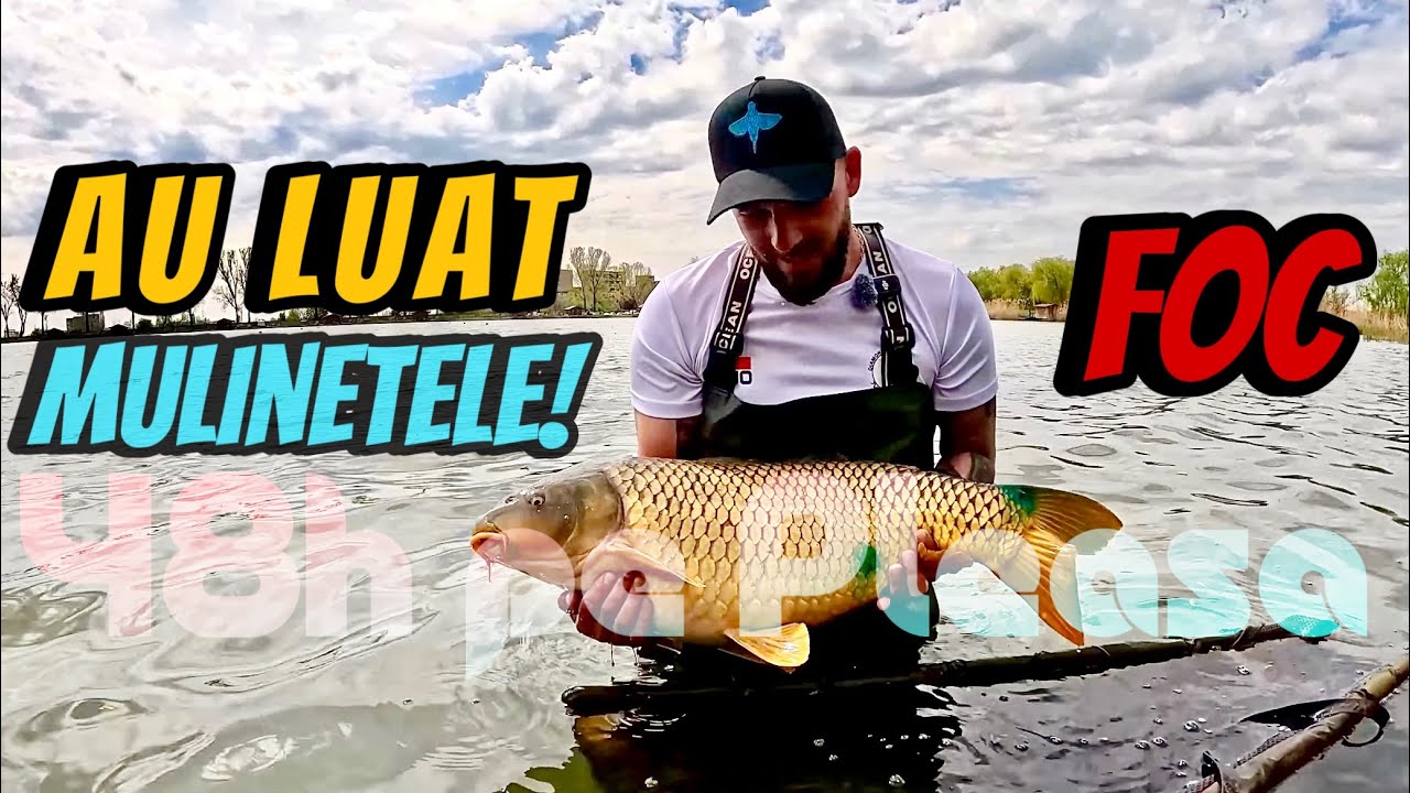 🧨 30 de PESTi ne-au chinuit  pe Lacul PLEASA!🫣