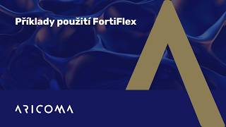 Příklady použití FortiFlexu (dříve Flex-VM)