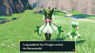 Sprigatito evolved Floragato evolved Meowscarada - Pokemon Scarlet \& Violet