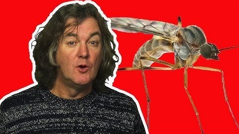 Why do Mosquitoes Prefer some people to others? | James May