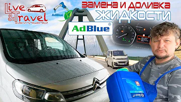 AdBlue на Citroen SpaceTourer - Доливка жидкости, пошаговая инструкция.