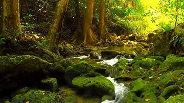 سورة الناس | بە تەفسیری کوردی | سعد الغامدي