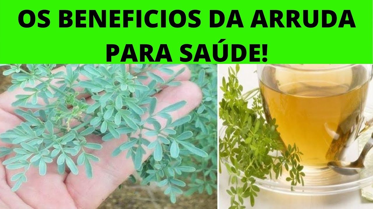 Chá De Arruda Para Que Serve - NAZAEDU