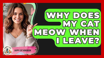 Why Does My Cat Meow When I Leave? | Happy Cat Handbook