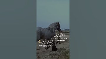 هذا خلق الله 😍 أجمل حالات واتس اب قرأن الكريم بصوت اسلام صبحي  سورة لقمان