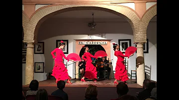 🇪🇸 Spanish Flamenco Dance Instrumental - Flamenco chill out 🇪🇸