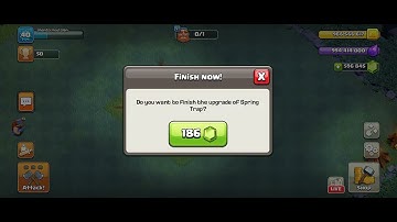 All level of spring trap .How does it looks like .