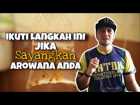 Video: Untuk apa peracikan kontinu digunakan?