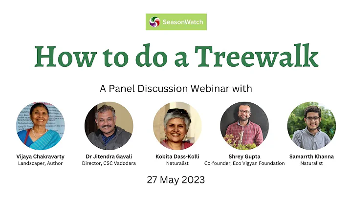 'How to do a Treewalk' - A Panel Discussion - DayDayNews