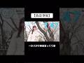 ZIP放送事故 #fypシ #おすすめ