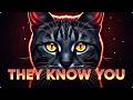 Cats Know Something Humans Don’t… The Hidden Signal They Detect Before You Even Arrive