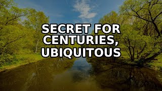 For Centuries, The Soap Has Been A Ubiquitous Presence In