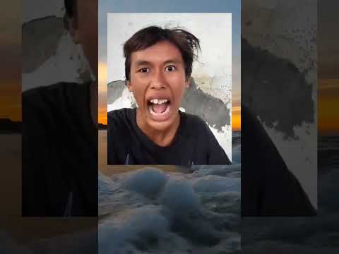 #husnarasiddiqui