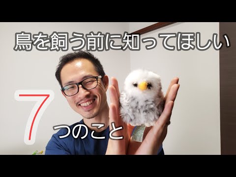 【インコ・オウム・鳥】飼い方７つのポイント