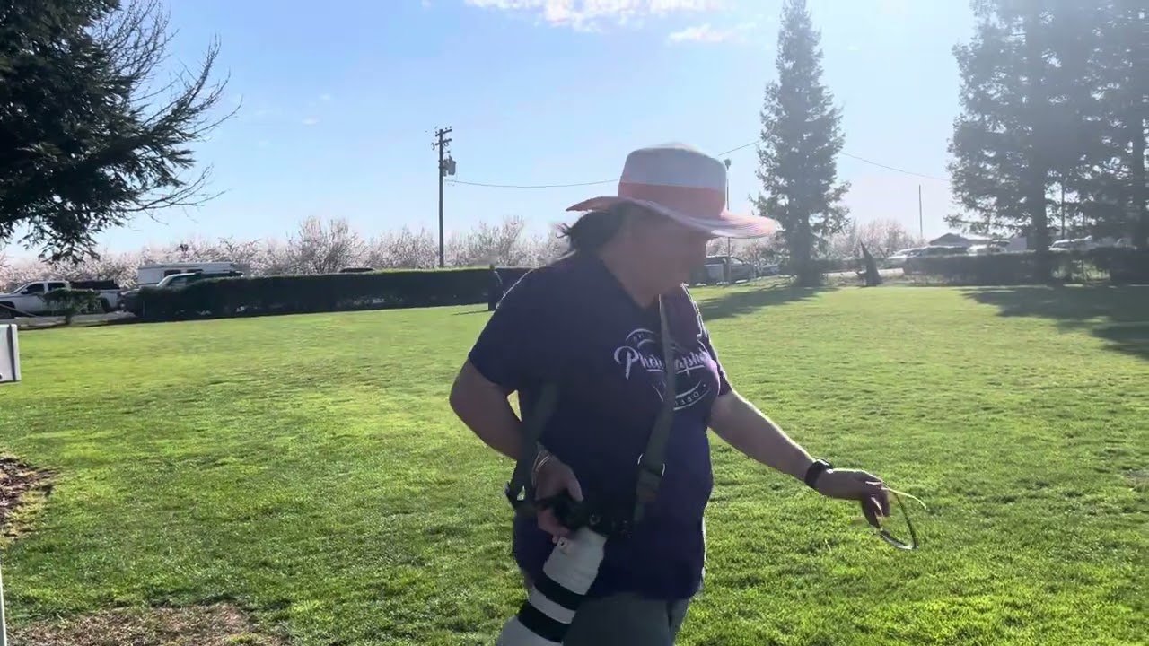 IGP 1 Schutzhund Obedience Routine 95 points