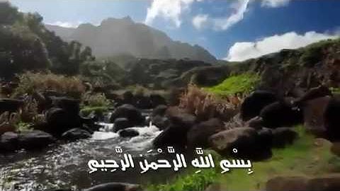 القارئ ميثم التمار  سورة القيامة