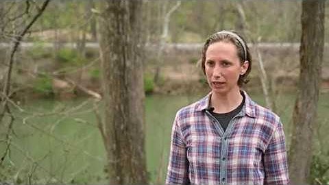 Central Appalachians Mine Land Restoration for Connectivity – Salazar Connectivity Challenge