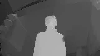 Stereo depth demo - Walking towards the camera