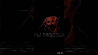 Types of doctor nowhere edit ( Effective version)