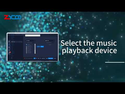 ZYCOO IP Audio