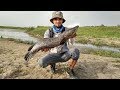 Ловля змееголова. Узбекистан / Catching snakehead. Uzbekistan