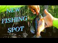 NEW FISHING SPOT  -   CATCHING MULTIPLE SPECIES