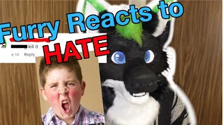 Celebrity Furry reacts to hate comments! Profile