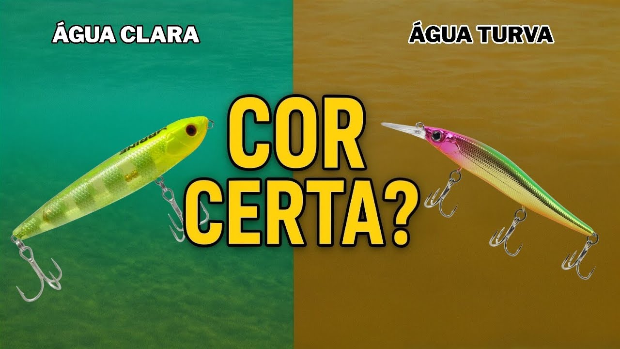 Água clara x água turva: A cor certa da isca muda tudo.