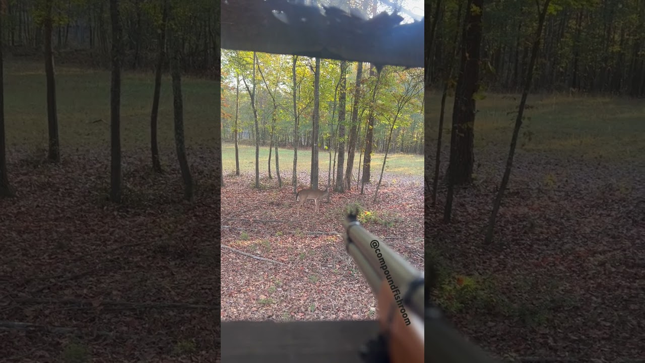 30-30 DROP SHOT GEORGIA WHITETAIL BUCK 2023