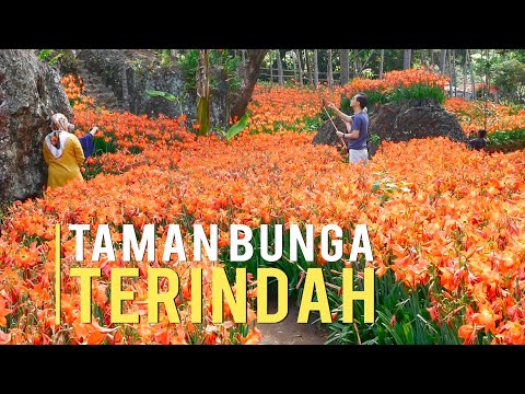 Video: Taman Bunga Di Bulan April. Karya Utama