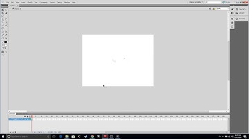 Graphical User Interface - Adobe Flash CS5 Software