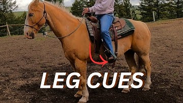 LEG CUES-HOW TO USE YOUR LEGS